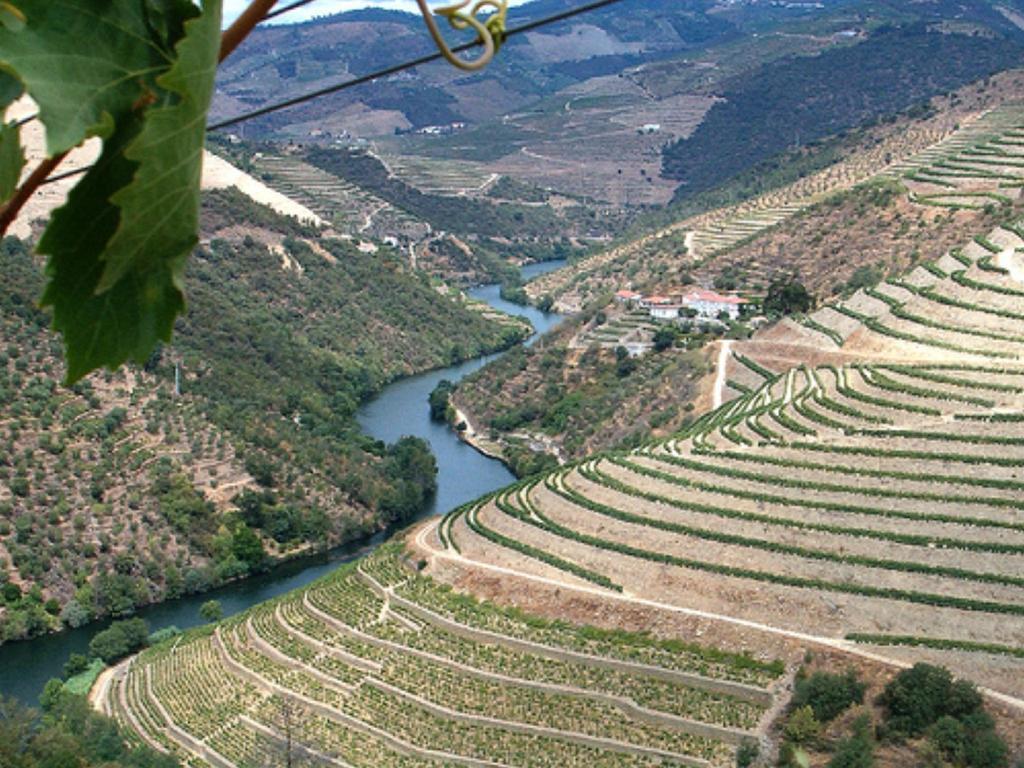 Douro House Loft Villa Tabuaco Exterior photo